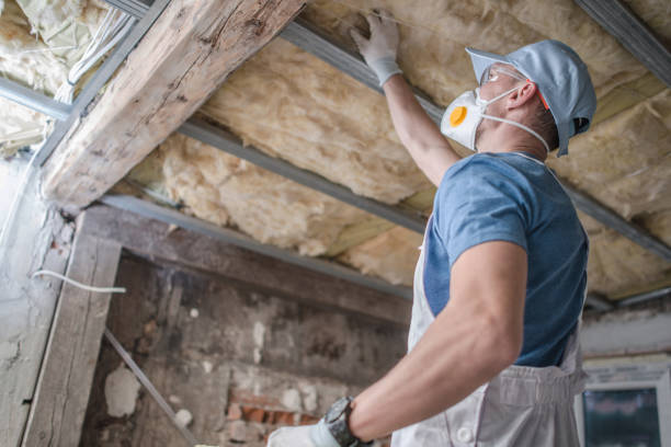 Best Insulation Maintenance and Repair in Gholson, TX