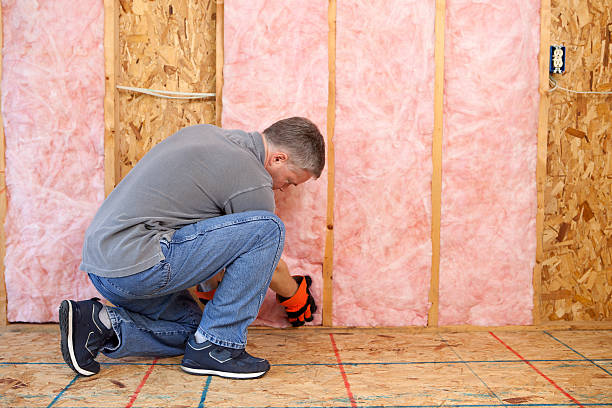 Best Cellulose Insulation in Gholson, TX