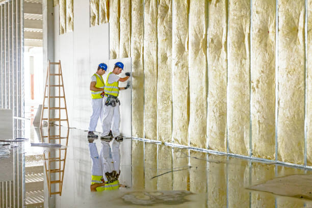 Types of Insulation We Offer in Gholson, TX